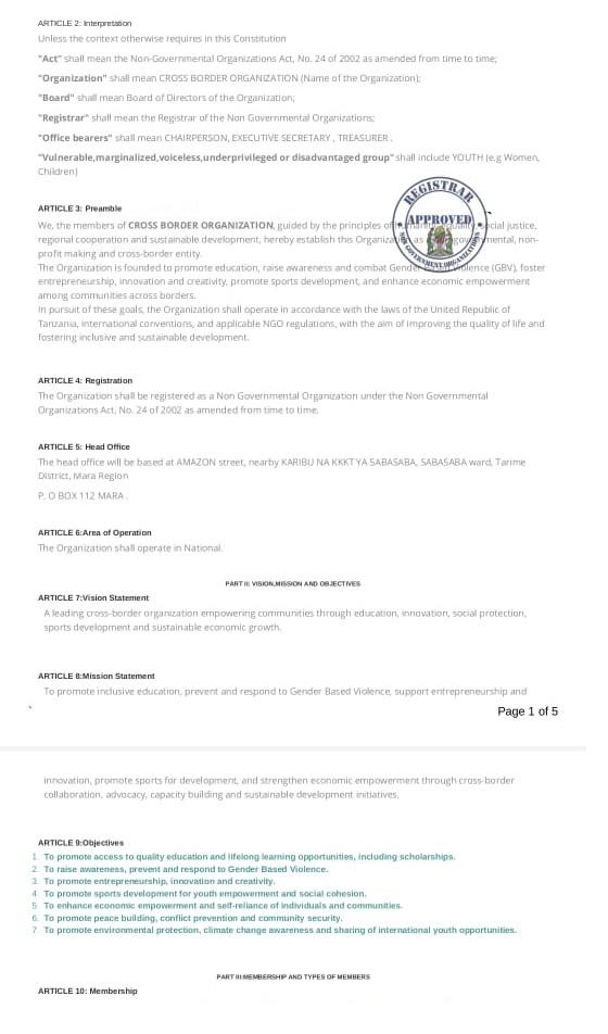 Organization Constitution